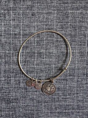 Alex and Ani Silver Clemson Paw Print Charm Expandable Bracelet